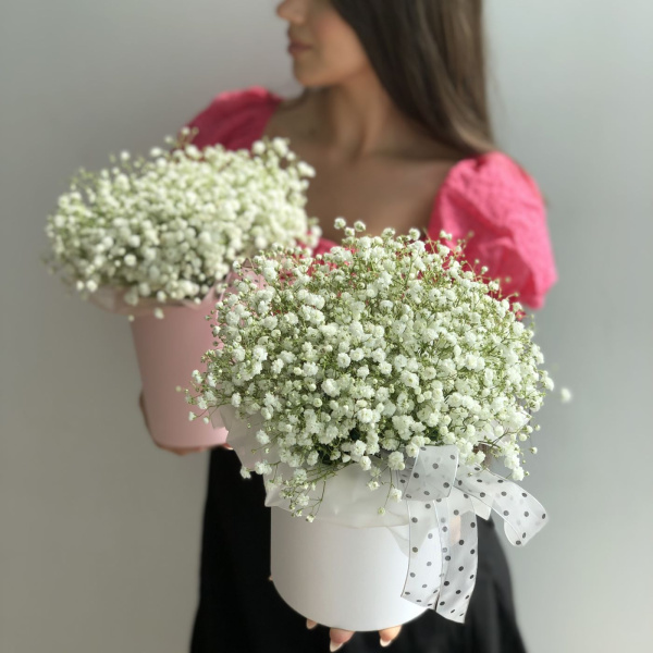 КОРОБКА С ГИПСОФИЛОЙ